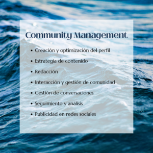 Servicios_CommunityManager